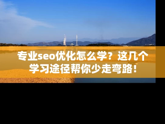 专业seo优化怎么学？这几个学习途径帮你少走弯路！