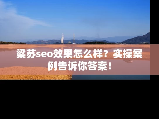 梁苏seo效果怎么样？实操案例告诉你答案！