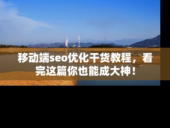 移动端seo优化干货教程，看完这篇你也能成大神！
