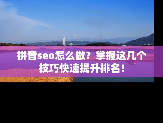 拼音seo怎么做？掌握这几个技巧快速提升排名！