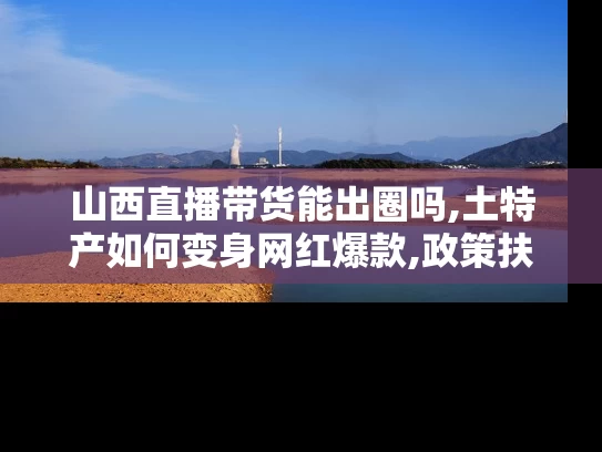 山西直播带货能出圈吗,土特产如何变身网红爆款,政策扶持带来哪些新机遇