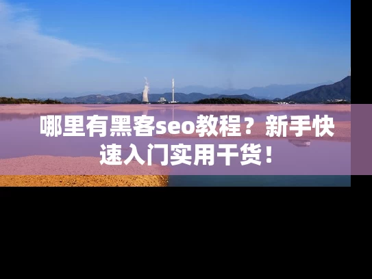 哪里有黑客seo教程？新手快速入门实用干货！