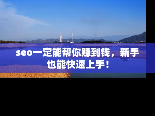 seo一定能帮你赚到钱，新手也能快速上手！
