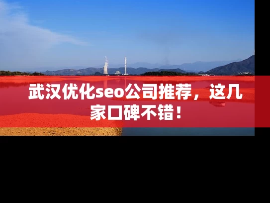 武汉优化seo公司推荐，这几家口碑不错！