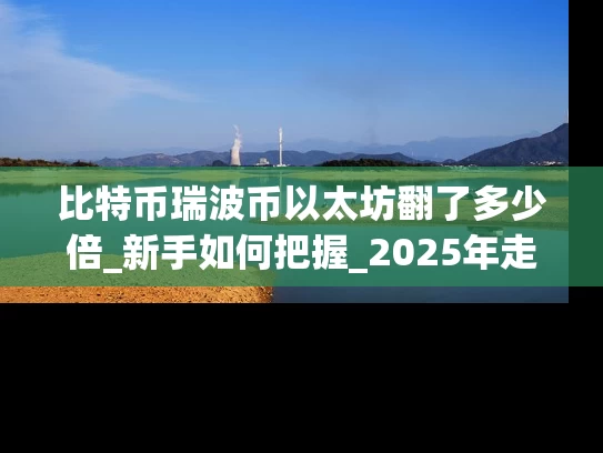 比特币瑞波币以太坊翻了多少倍_新手如何把握_2025年走势全解析