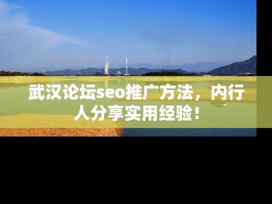 武汉论坛seo推广方法，内行人分享实用经验！