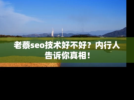 老蔡seo技术好不好？内行人告诉你真相！