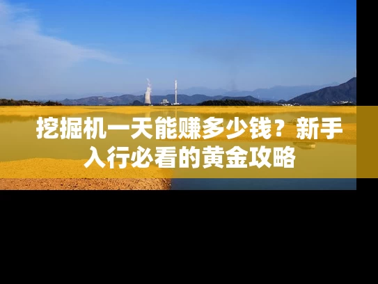挖掘机一天能赚多少钱？新手入行必看的黄金攻略