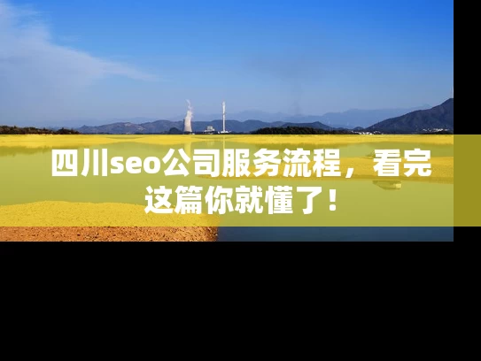 四川seo公司服务流程，看完这篇你就懂了！