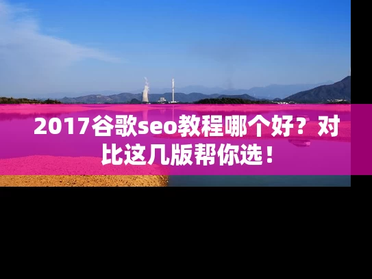 2017谷歌seo教程哪个好？对比这几版帮你选！