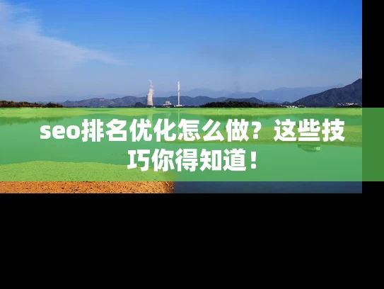seo排名优化怎么做？这些技巧你得知道！