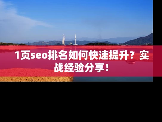 1页seo排名如何快速提升？实战经验分享！