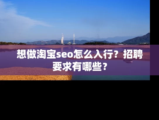 想做淘宝seo怎么入行？招聘要求有哪些？