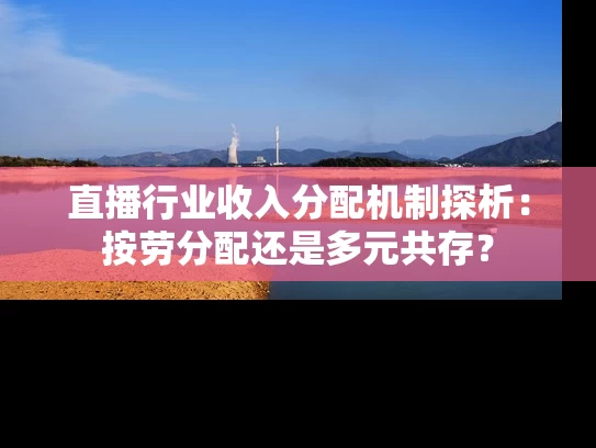 直播行业收入分配机制探析：按劳分配还是多元共存？