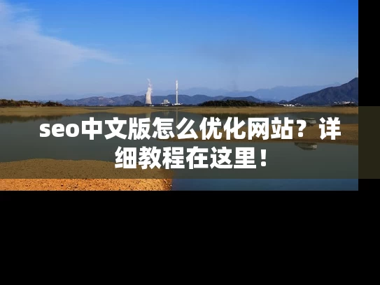 seo中文版怎么优化网站？详细教程在这里！