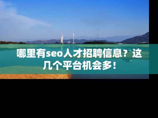哪里有seo人才招聘信息？这几个平台机会多！