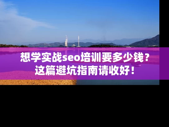 想学实战seo培训要多少钱？这篇避坑指南请收好！