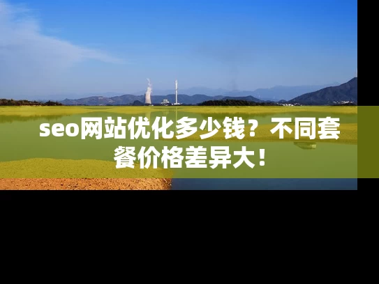 seo网站优化多少钱？不同套餐价格差异大！