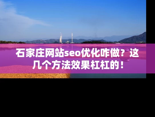 石家庄网站seo优化咋做？这几个方法效果杠杠的！
