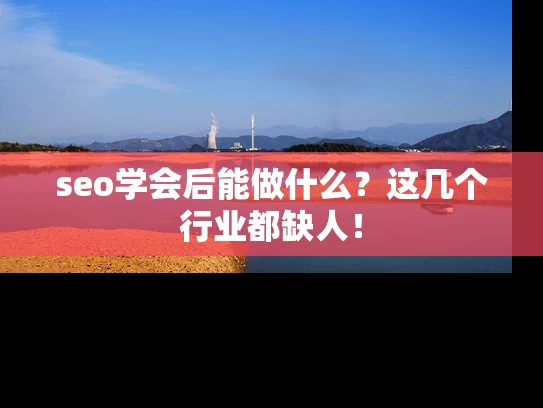 seo学会后能做什么？这几个行业都缺人！