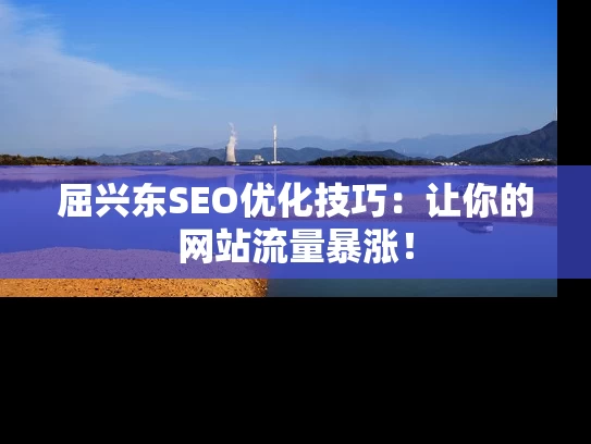 屈兴东SEO优化技巧：让你的网站流量暴涨！