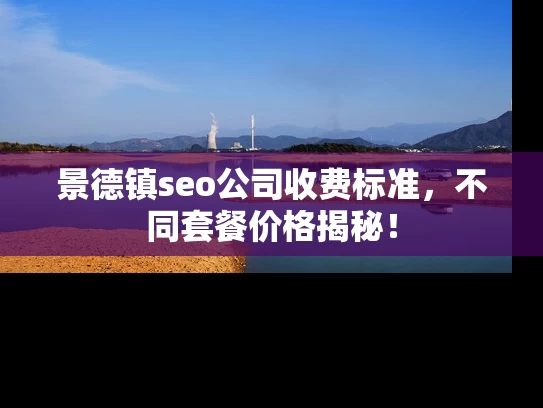 景德镇seo公司收费标准，不同套餐价格揭秘！