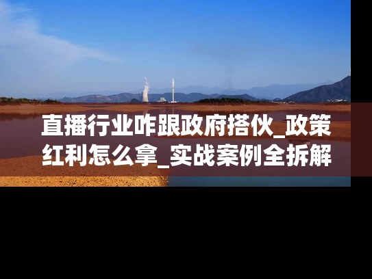 直播行业咋跟政府搭伙_政策红利怎么拿_实战案例全拆解