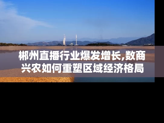 郴州直播行业爆发增长,数商兴农如何重塑区域经济格局