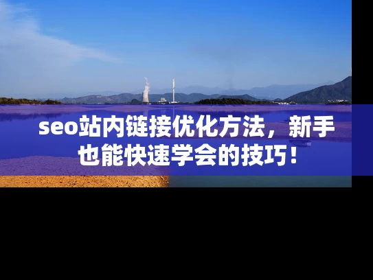 seo站内链接优化方法，新手也能快速学会的技巧！
