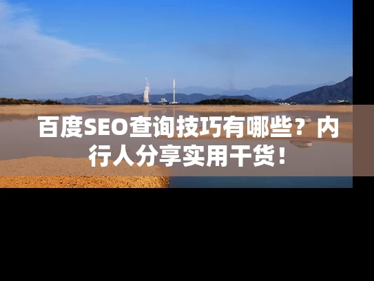百度SEO查询技巧有哪些？内行人分享实用干货！