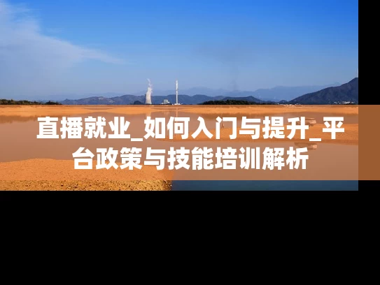 直播就业_如何入门与提升_平台政策与技能培训解析