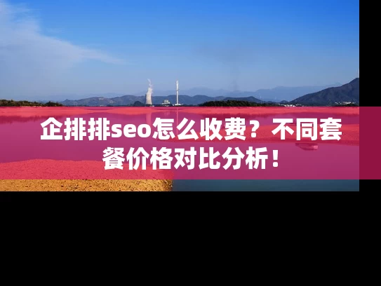 企排排seo怎么收费？不同套餐价格对比分析！