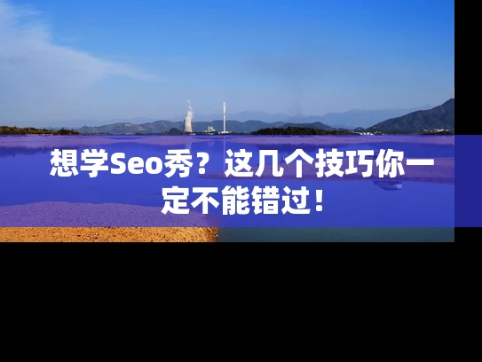想学Seo秀？这几个技巧你一定不能错过！