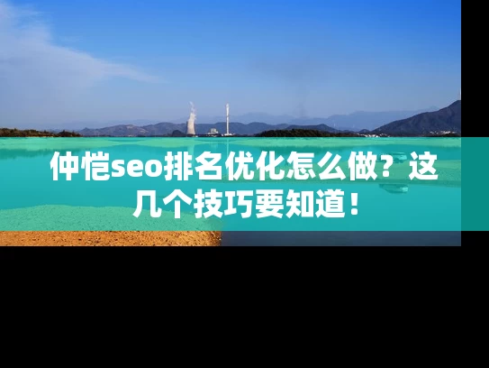 仲恺seo排名优化怎么做？这几个技巧要知道！