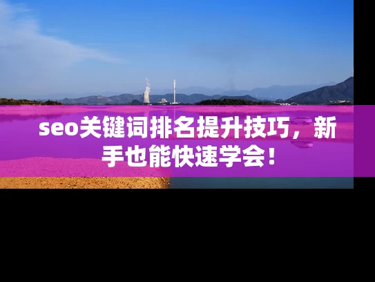 seo关键词排名提升技巧，新手也能快速学会！