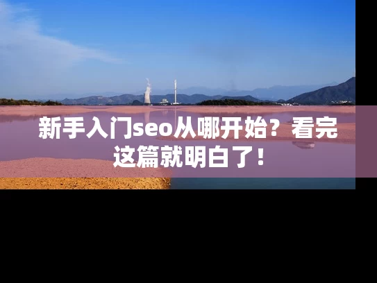新手入门seo从哪开始？看完这篇就明白了！