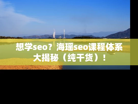 想学seo？海瑶seo课程体系大揭秘（纯干货）！