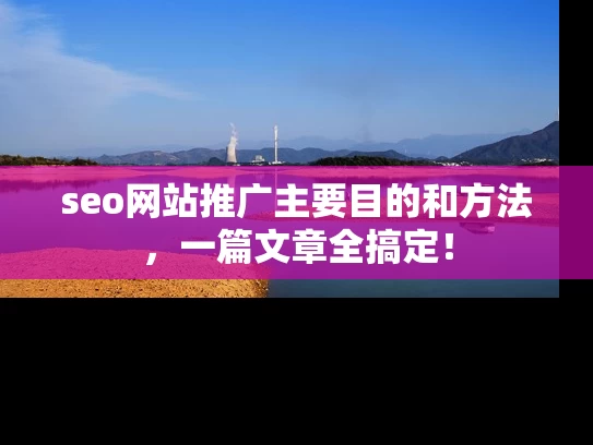 seo网站推广主要目的和方法，一篇文章全搞定！