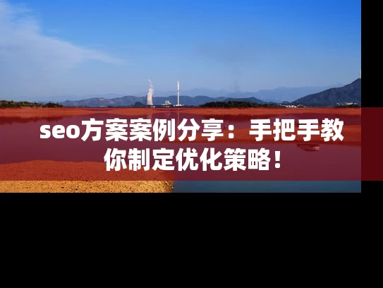 seo方案案例分享：手把手教你制定优化策略！