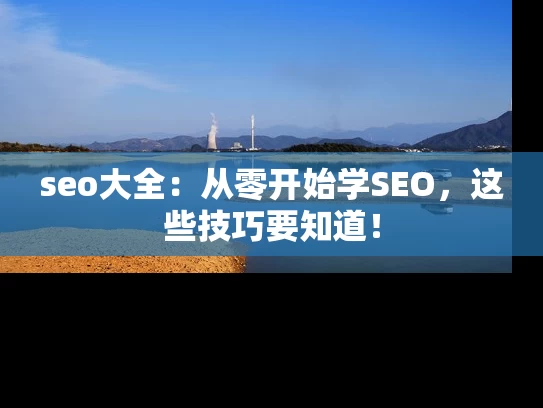 seo大全：从零开始学SEO，这些技巧要知道！