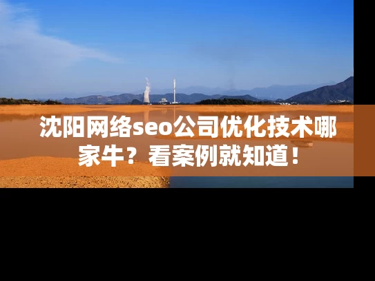 沈阳网络seo公司优化技术哪家牛？看案例就知道！