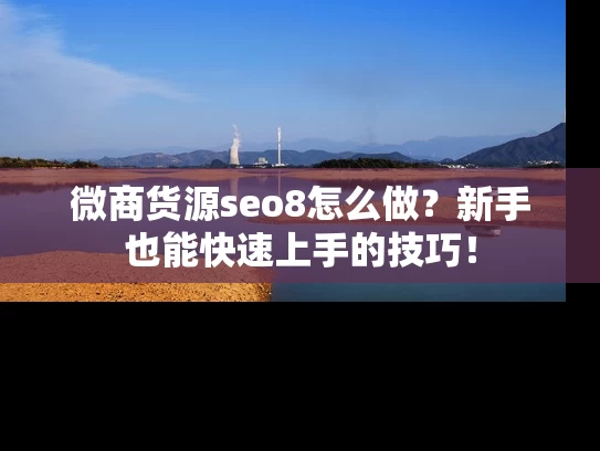 微商货源seo8怎么做？新手也能快速上手的技巧！