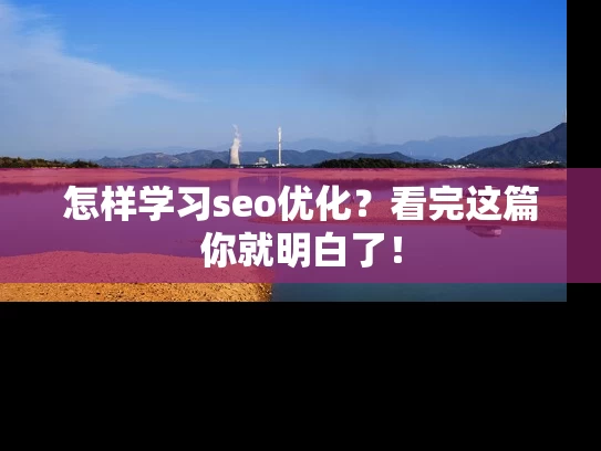 怎样学习seo优化？看完这篇你就明白了！