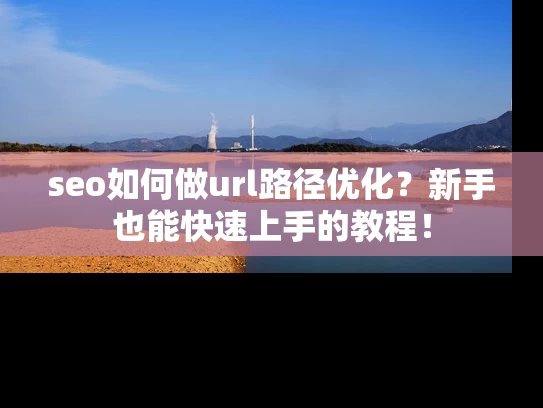seo如何做url路径优化？新手也能快速上手的教程！