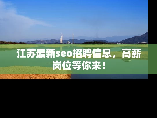 江苏最新seo招聘信息，高薪岗位等你来！