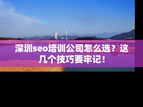 深圳seo培训公司怎么选？这几个技巧要牢记！
