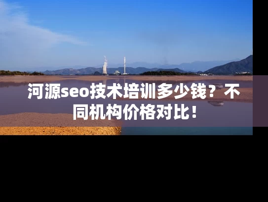 河源seo技术培训多少钱？不同机构价格对比！