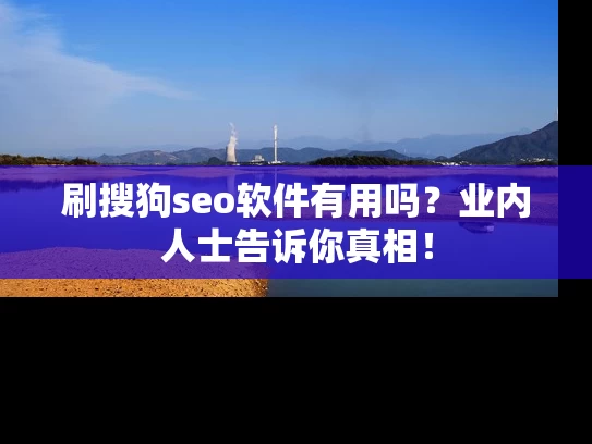 刷搜狗seo软件有用吗？业内人士告诉你真相！