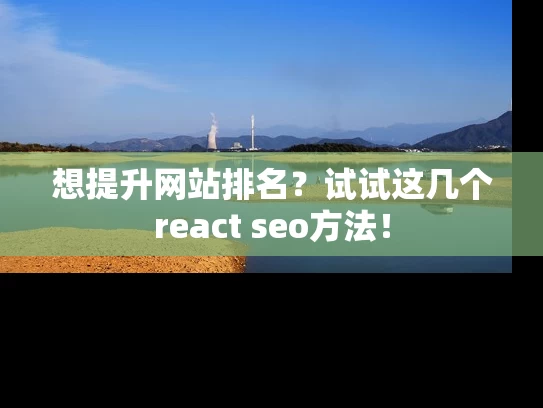 想提升网站排名？试试这几个react seo方法！