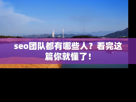 seo团队都有哪些人？看完这篇你就懂了！